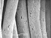 微孔导湿排汗纤维（PILLESS纤维）