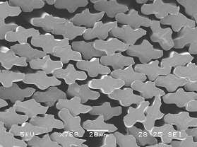 异性细旦吸湿快干纤维