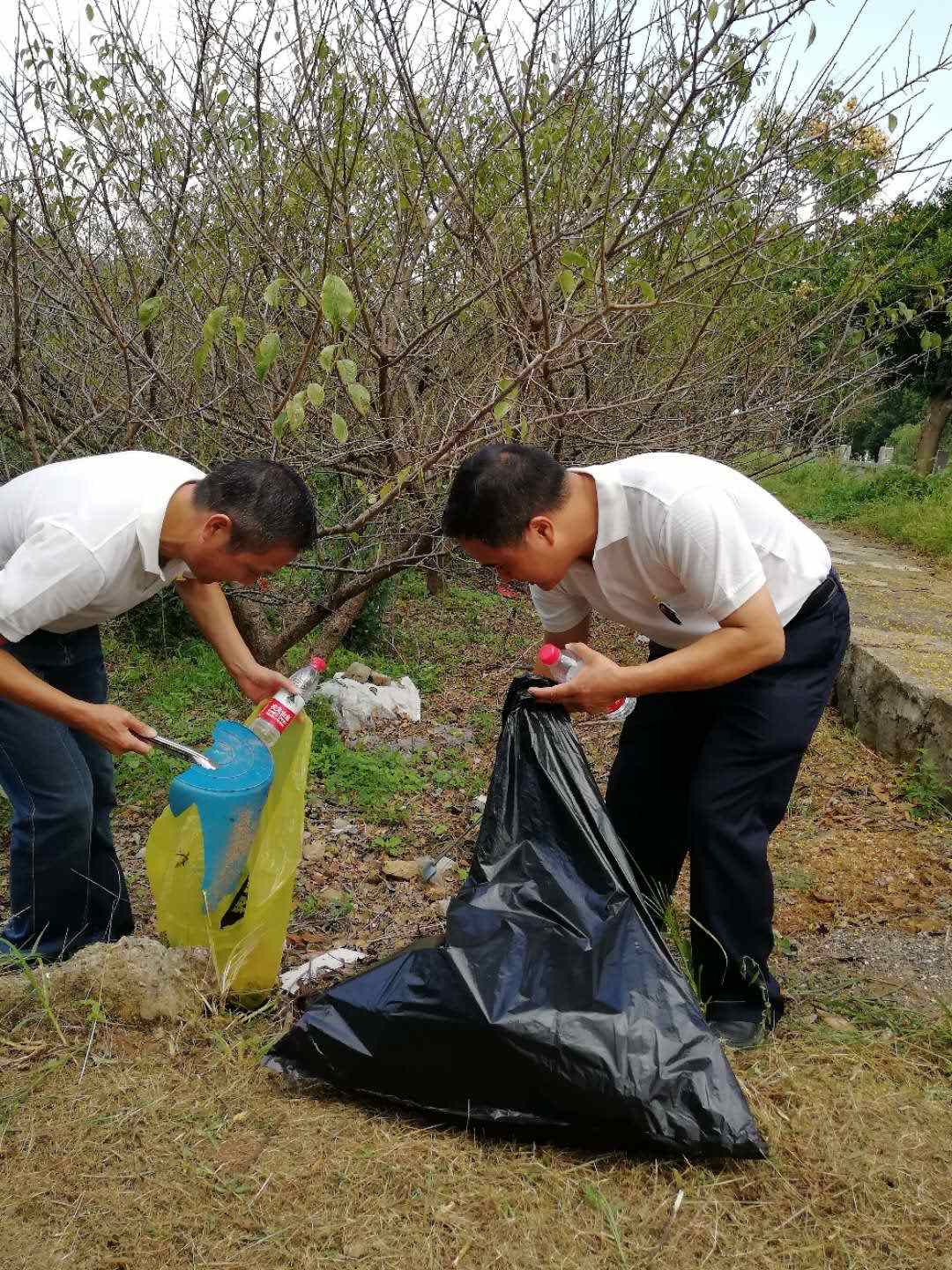 浙江分院党支部为世界清洁日活动助力添彩
